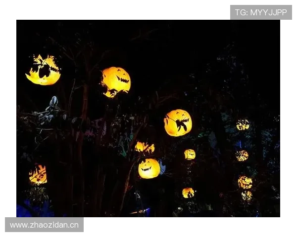 星空娱乐活动推荐：让你与朋友共度欢乐夜晚