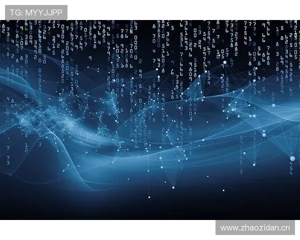 星空官网登录入口：掌握星空官网登录入口的多种登录方式与安全保障措施