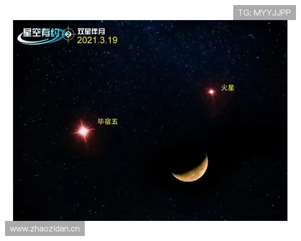 星空正规网址的真实使用体验与相关评价分析 星空正规网址的真实使用体验与相关评价分析