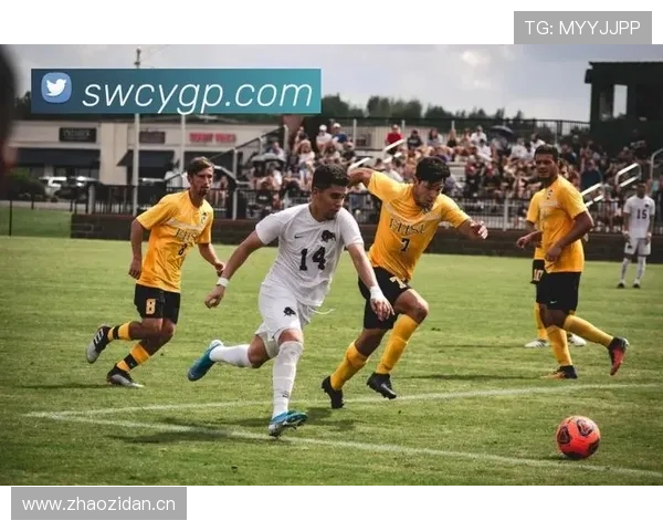 开云体育下载app功能优体验评测，畅享专业体育赛事直播