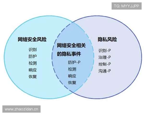 星空娱乐手机端安全保障措施，保障用户隐私和数据安全让你用得更放心